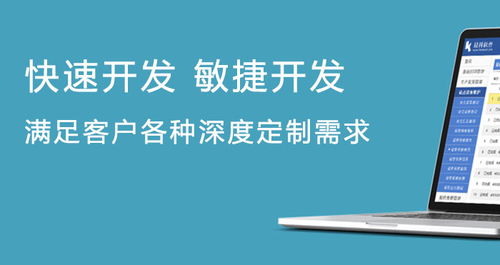 企业信息化管理软件定制开发